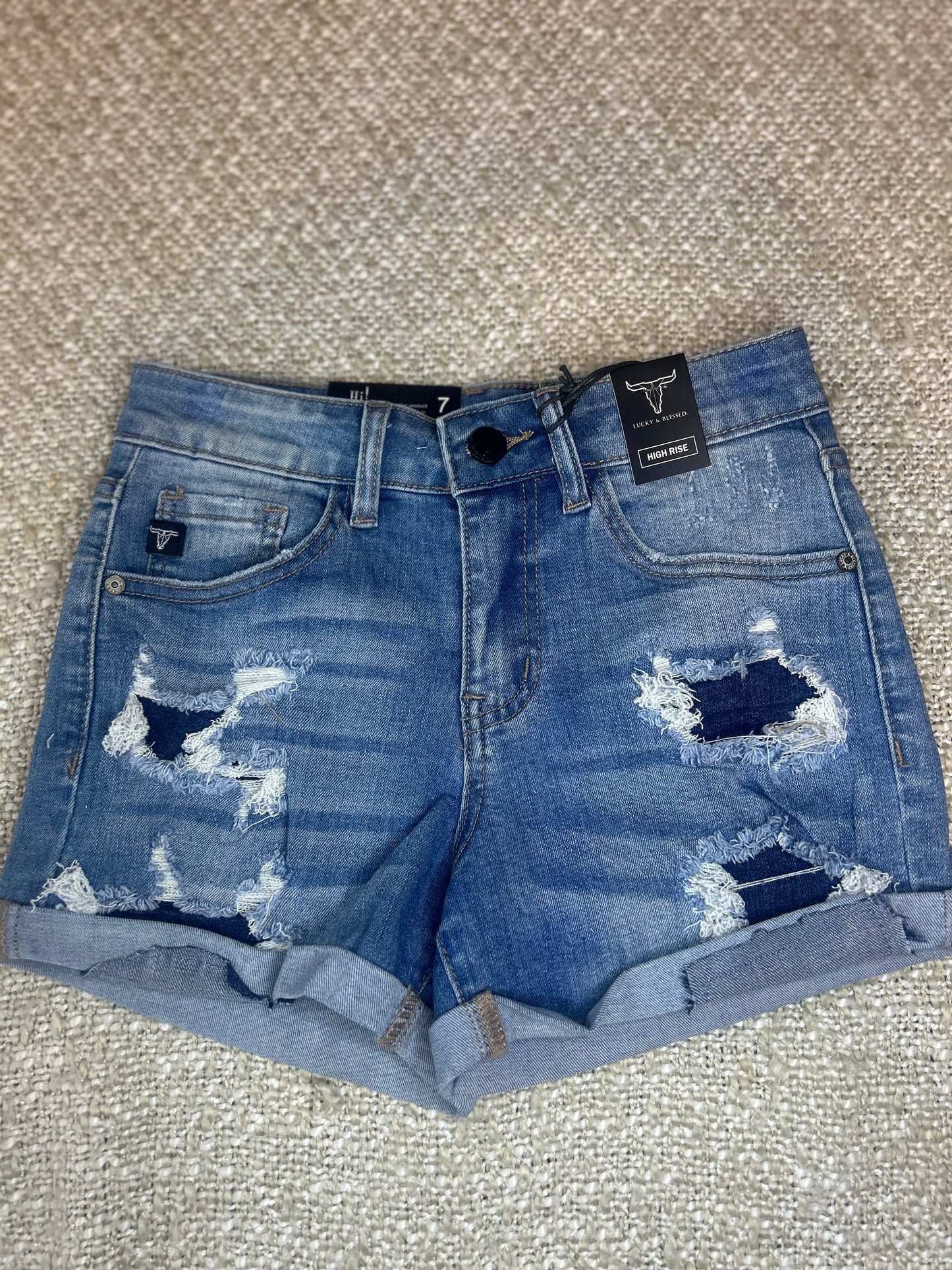 Wild Ride Distressed Denim Shorts