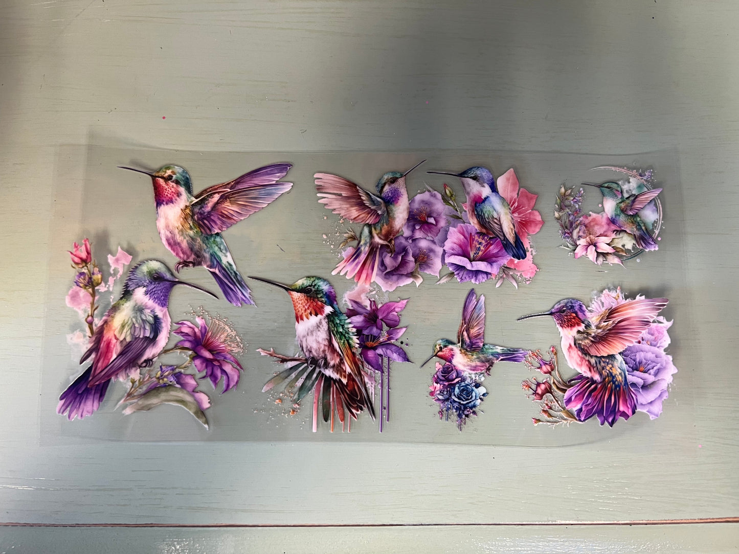 Humming Bird