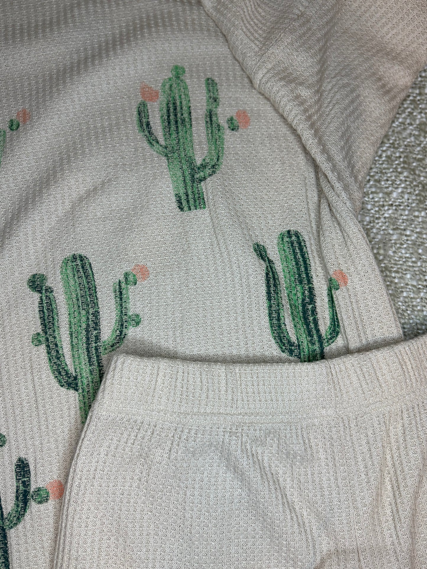 Cactus Cutie Set