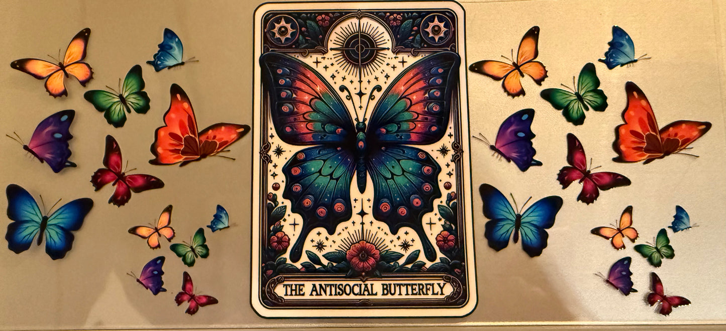 Butterfly