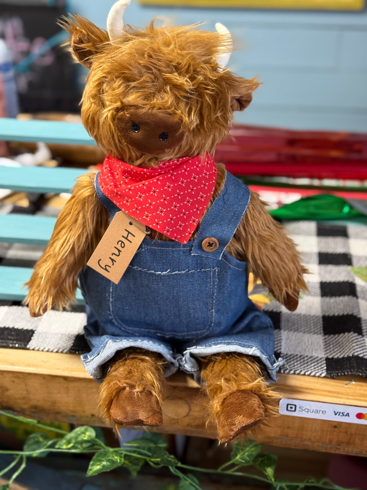 Henry the Highland cow
