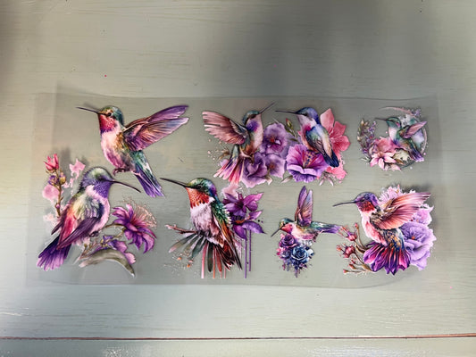 Humming Bird