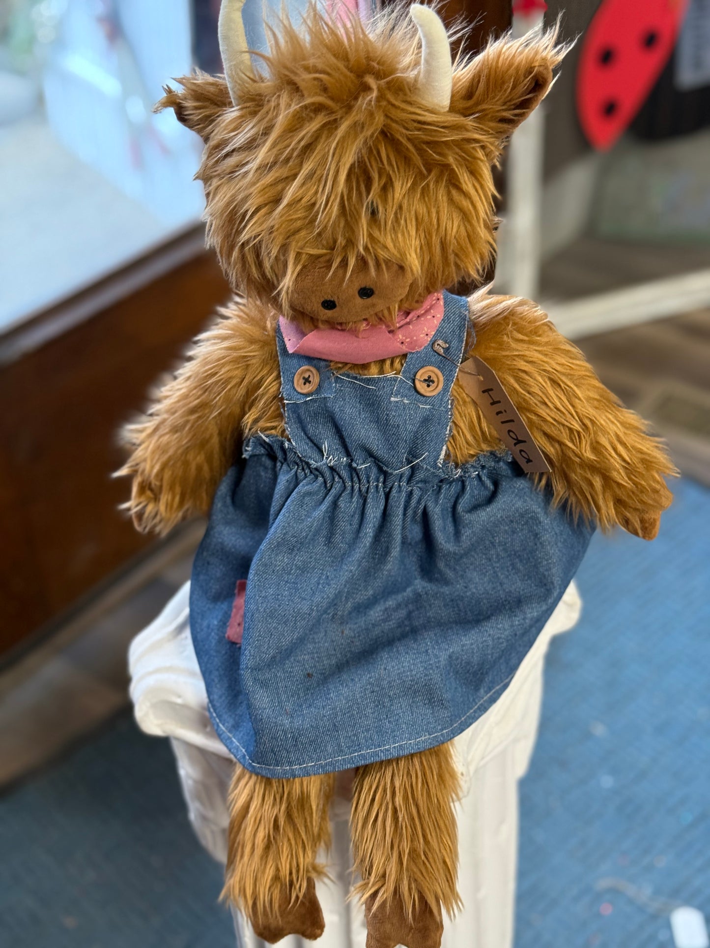 Hilda, the Highland cow
