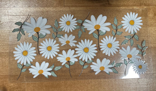 Daisy's