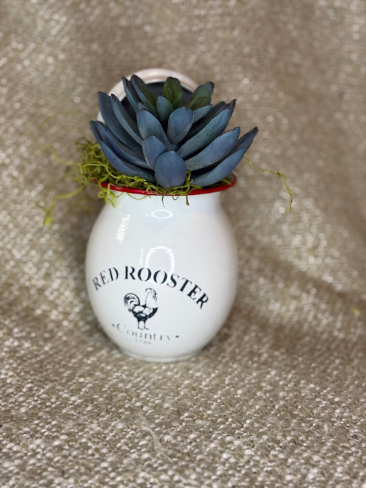 Mini Red Rooster Succulent Crock