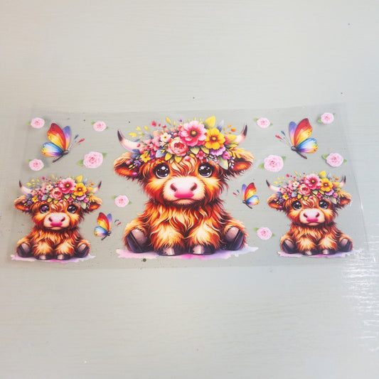 Highland Cows