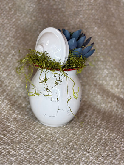 Mini Red Rooster Succulent Crock