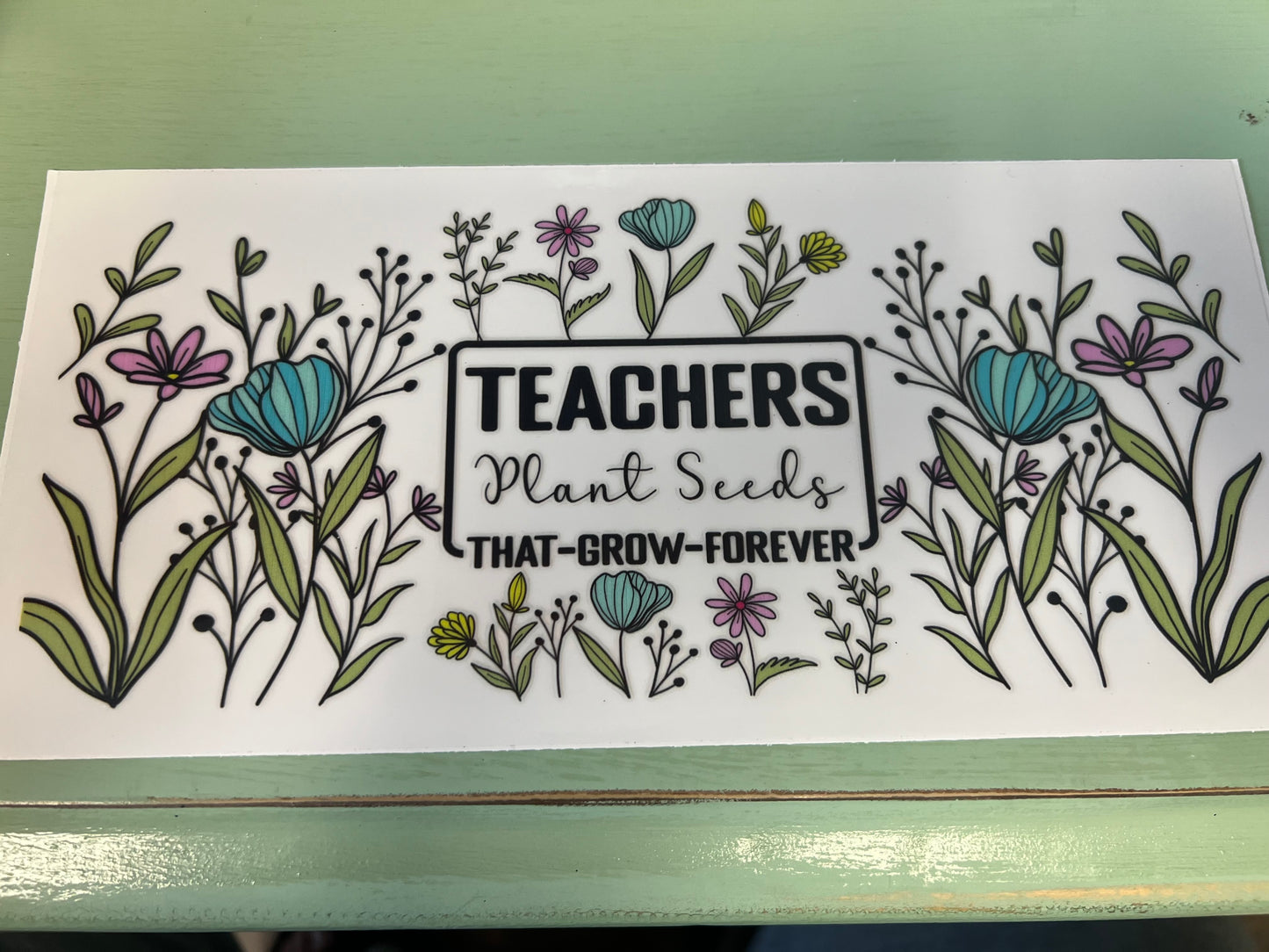 Plant Seeds