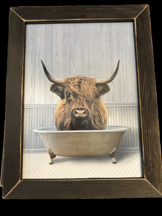 Highland in the tub