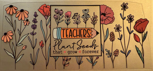 Teacher