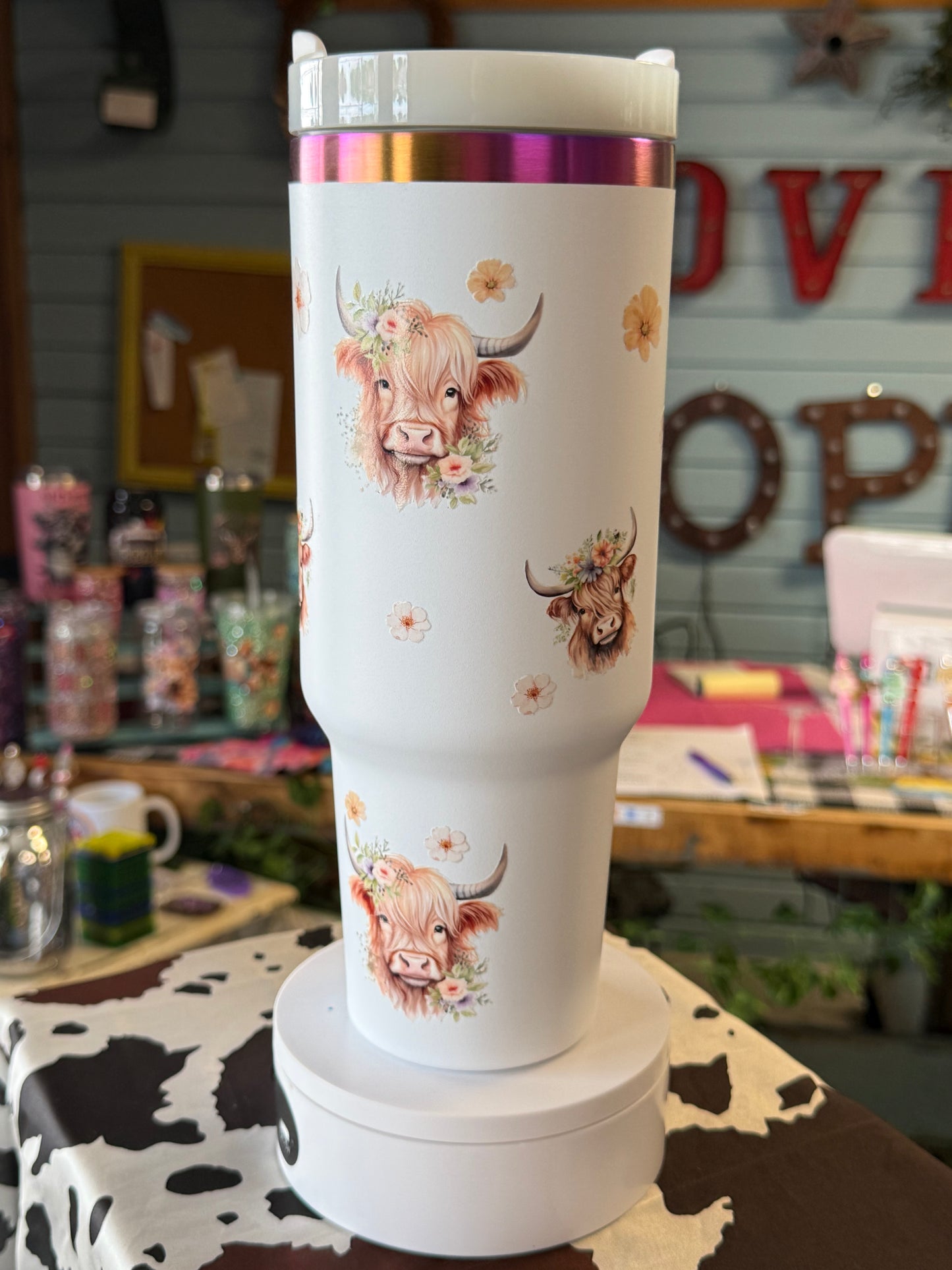 Highland cow
